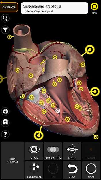 Anatomy Learning APK Latest Version For Android